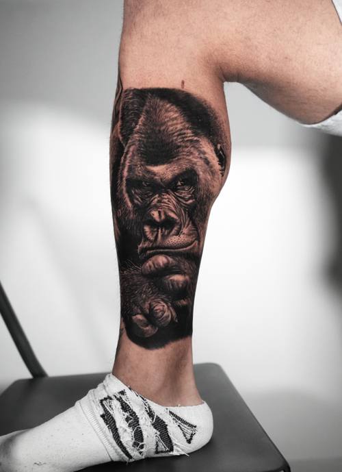Gorilla portrait, black and grey realism calf tattoo