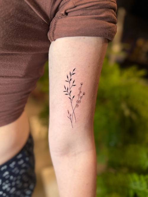 Botanical sprig on the upper arm, fine line tattoo by Amina at KAZENTATTOO, Los Angeles