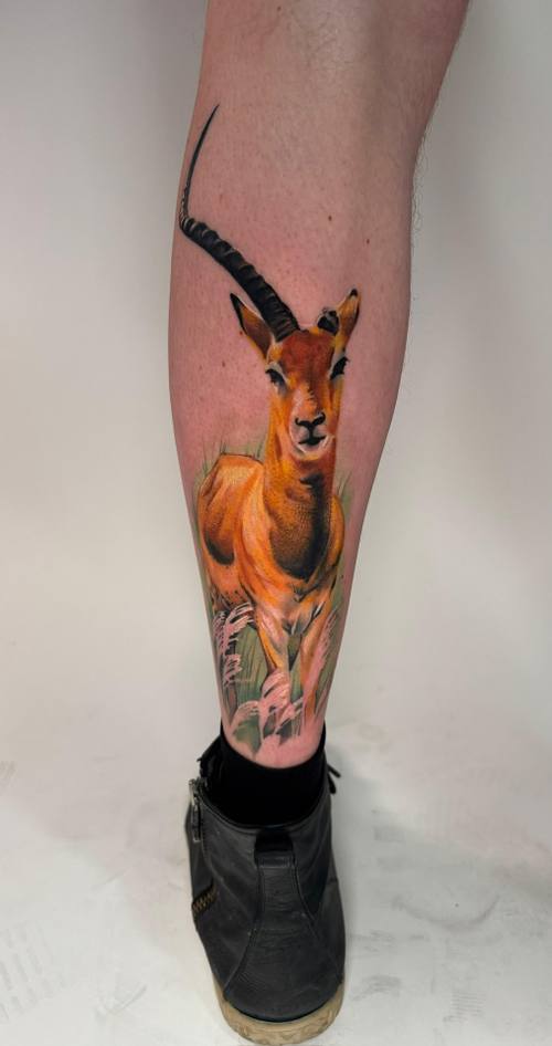 Color realism impala with long curved horns on the calf by Padre at KAZENTATTOO, Los Angeles