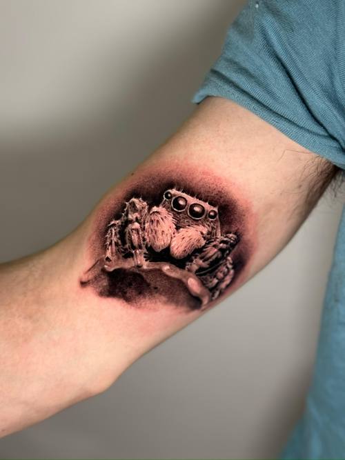 Black and grey jumping spider with large eyes on the inner arm by Padre at KAZENTATTOO, Los Angeles