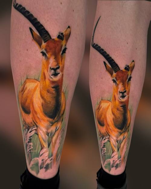 Color realism impala with long curved horns on the calf by Padre at KAZENTATTOO, Los Angeles