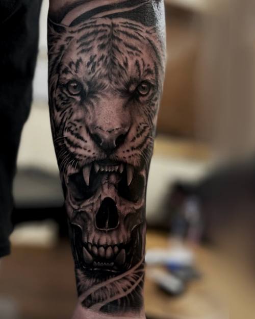 Roaring tiger above a skull, black and grey realism forearm tattoo by Sam at KAZENTATTOO, Los Angeles
