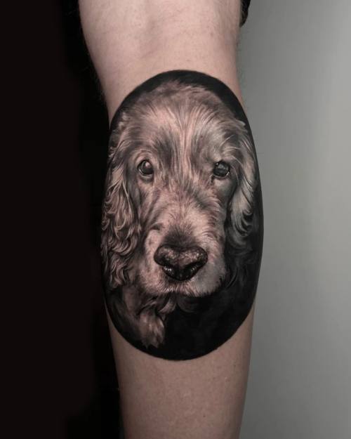 Cocker spaniel portrait in a dark oval, black and grey calf tattoo by Vladimir Kozachenko