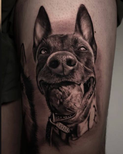 Doberman portrait, black and grey realism upper arm tattoo by Vladimir Kozachenko